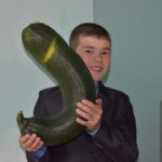 Щеплыгин Евгений ученик 4 класса  номинация "Мой богатырь"